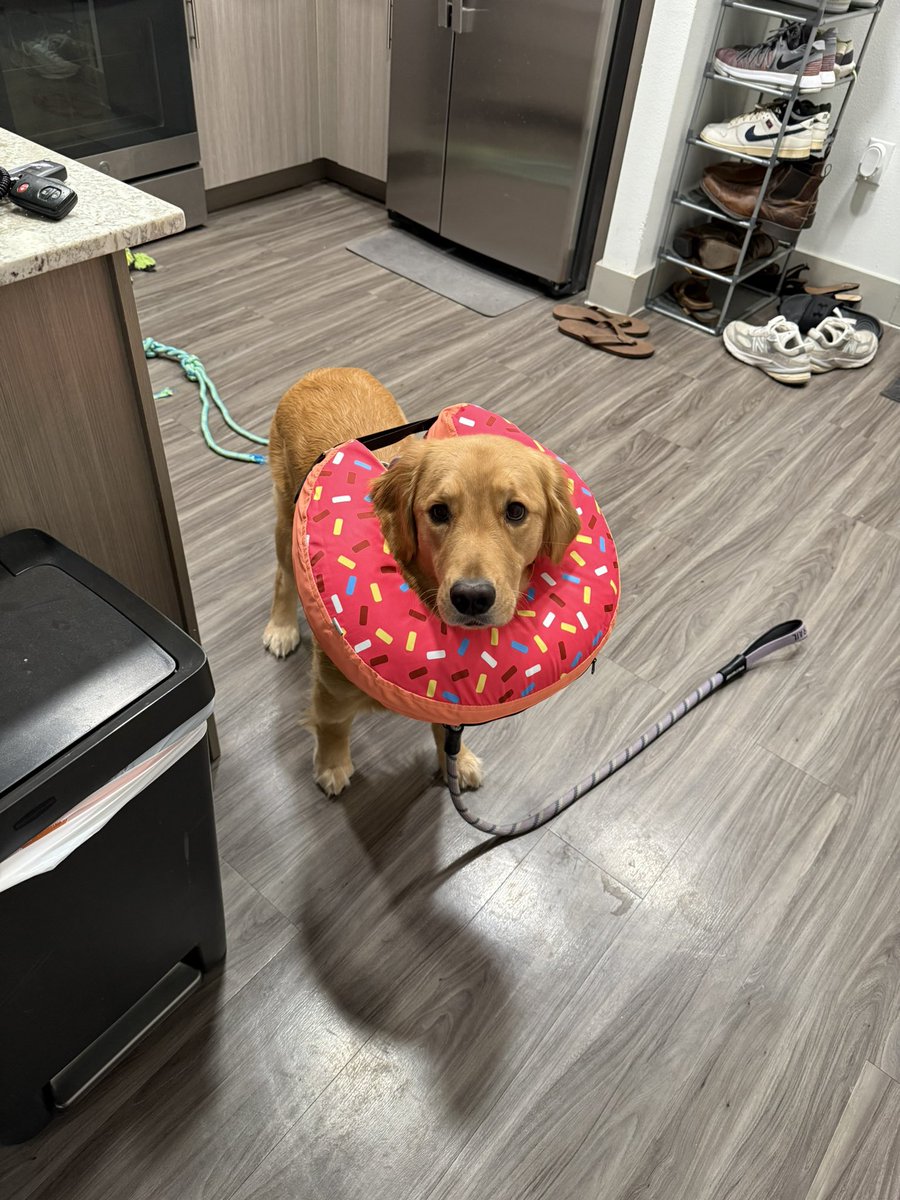 MikeIndo22's tweet image. Day 1,224 of tweeting @vindiesel until he promises me he’s going to put Pepas in the next Fast movie.  I will never stop grinding, I am dedicated #family and I know what this song will do to #FastandFurious #Fast11 needs this. I need this. Athena needs this.