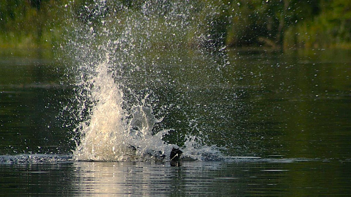 Sunset Country tweet media