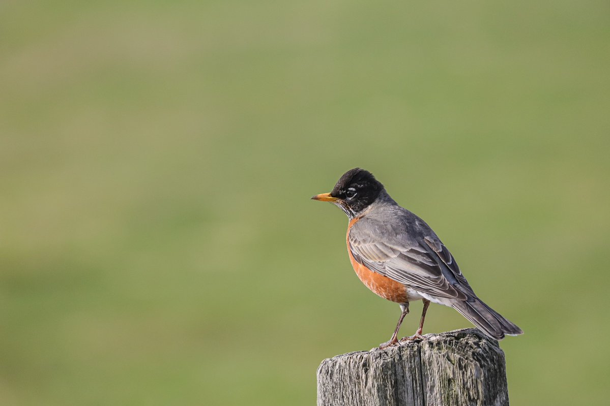 Visit Chicago Southland tweet media