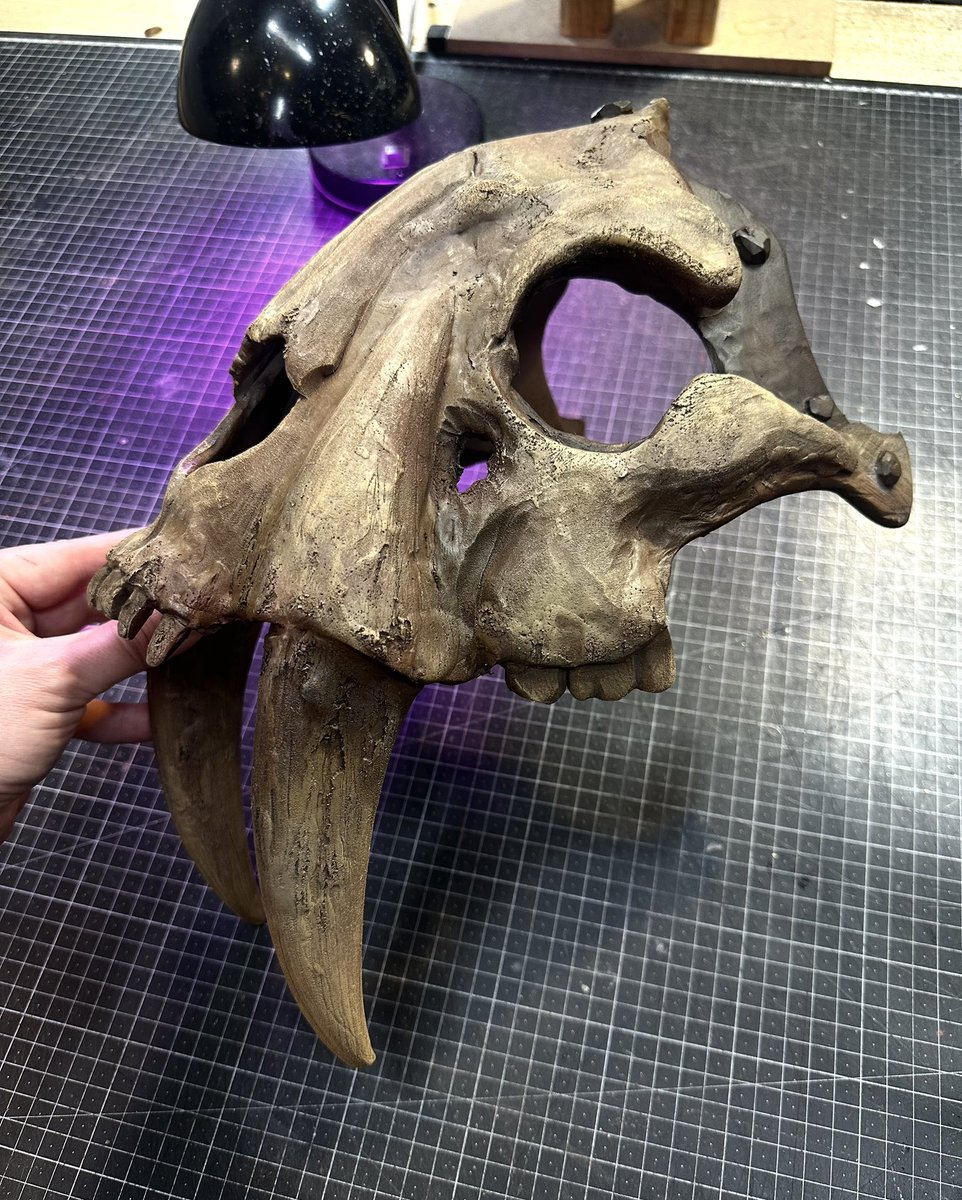 Steven K Smith tweet media