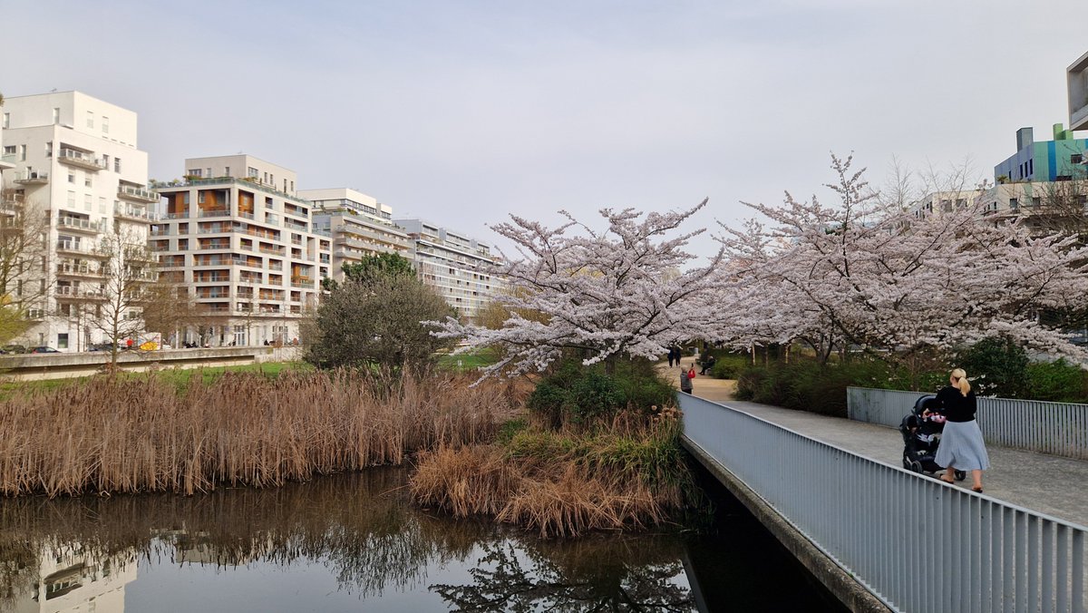 Archi_BoulBi's tweet photo. Le printemps est arrivé à Boulogne-Billancourt ❤️
@iledefrance @hautsdeseinefr https://t.co/g7SyNGRRDy