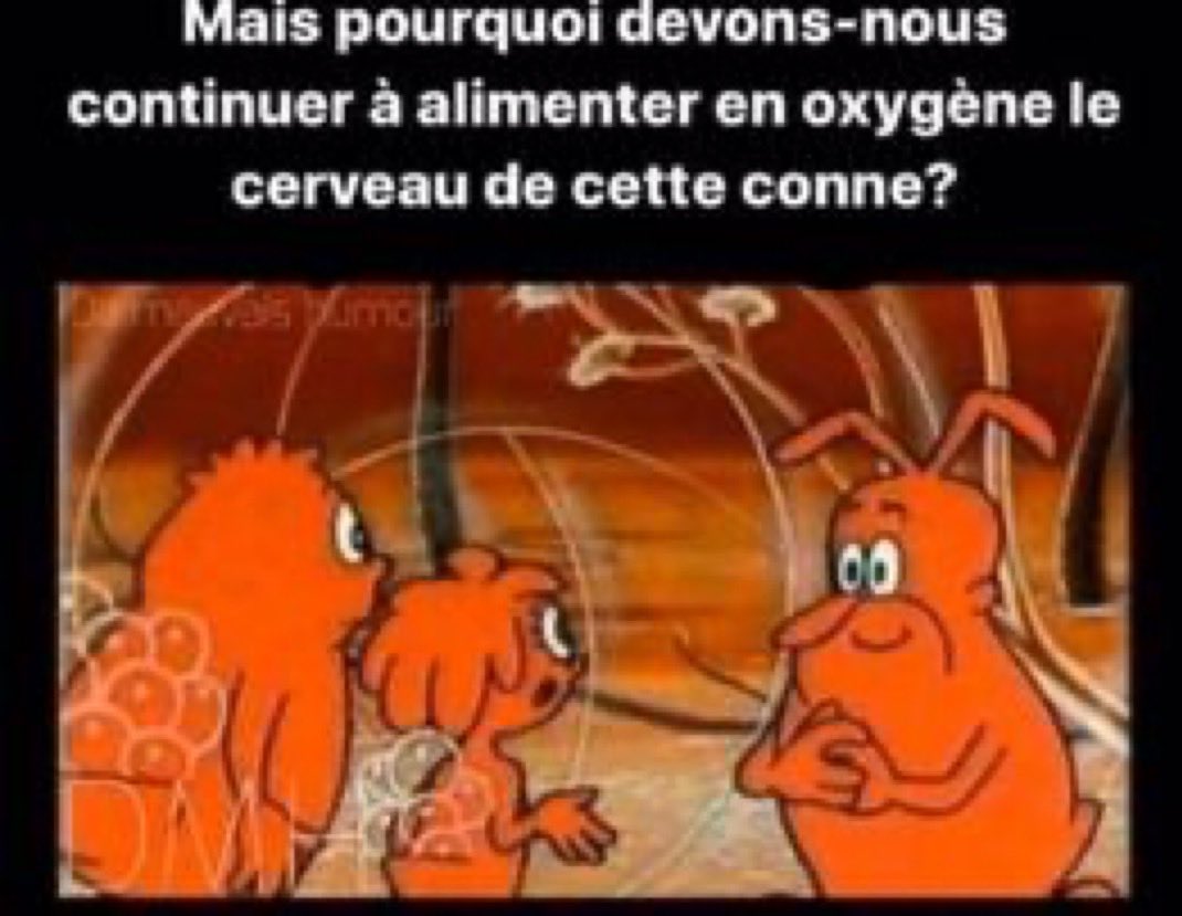 l_Albator_l's tweet photo. @mbompard https://t.co/m0LyLPNR9C