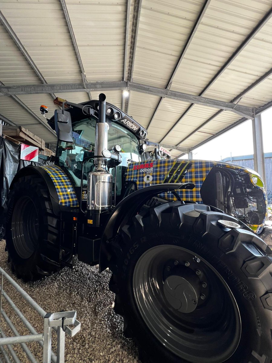 Jayne Halhead tweet media