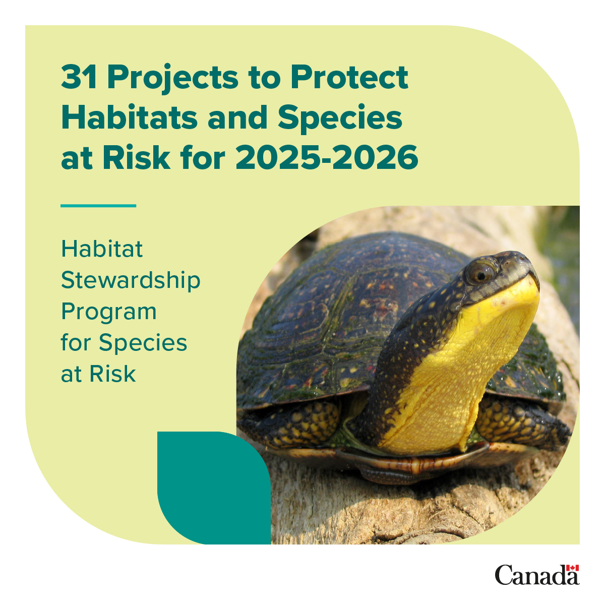 Environment Canada tweet media