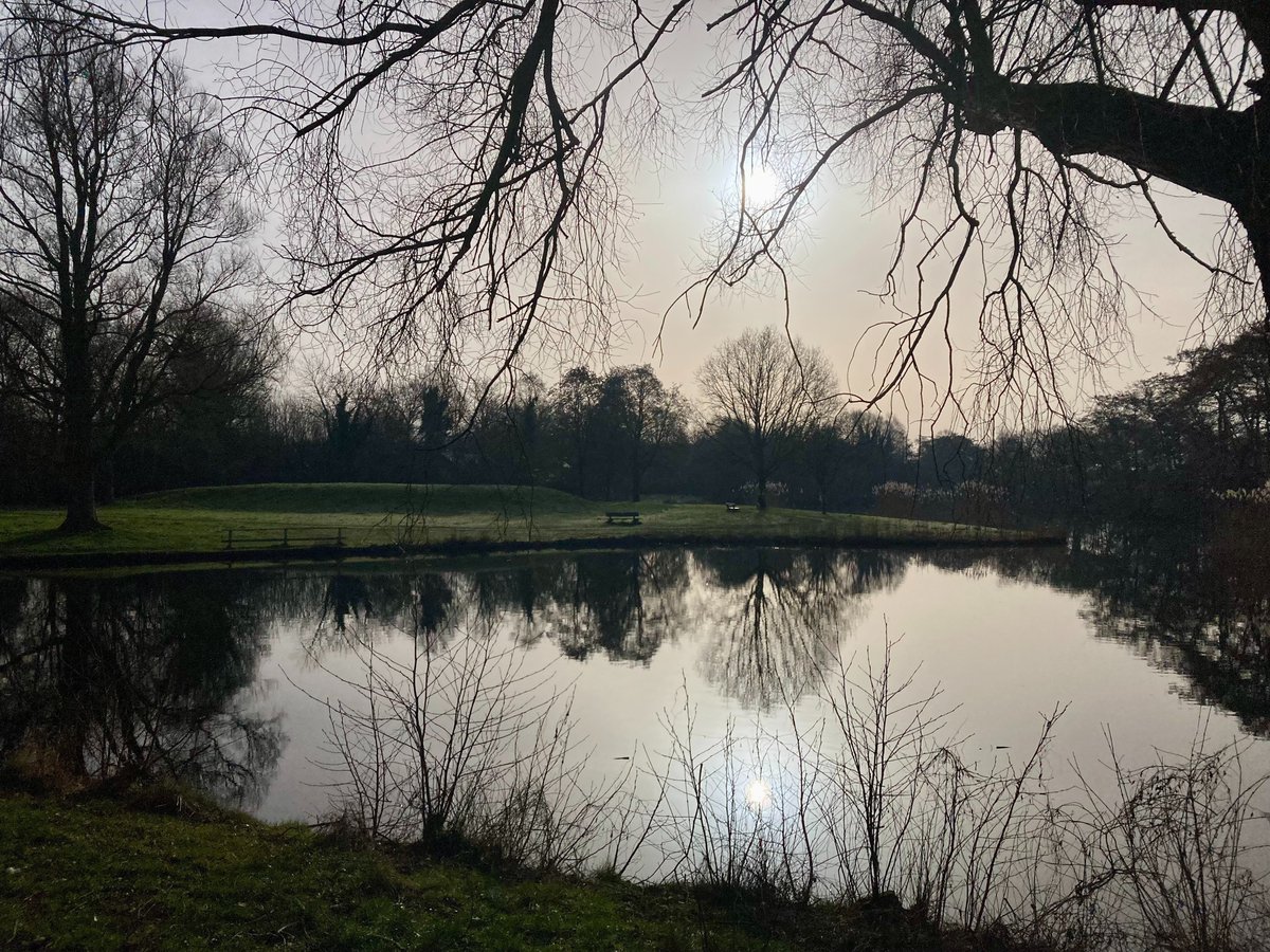 ➡️ Robert de Vries tweet media