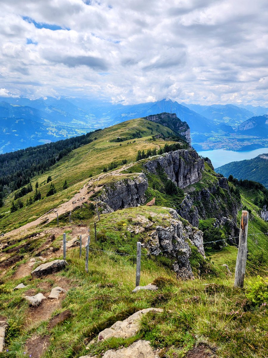 HikingSwitzerland tweet media