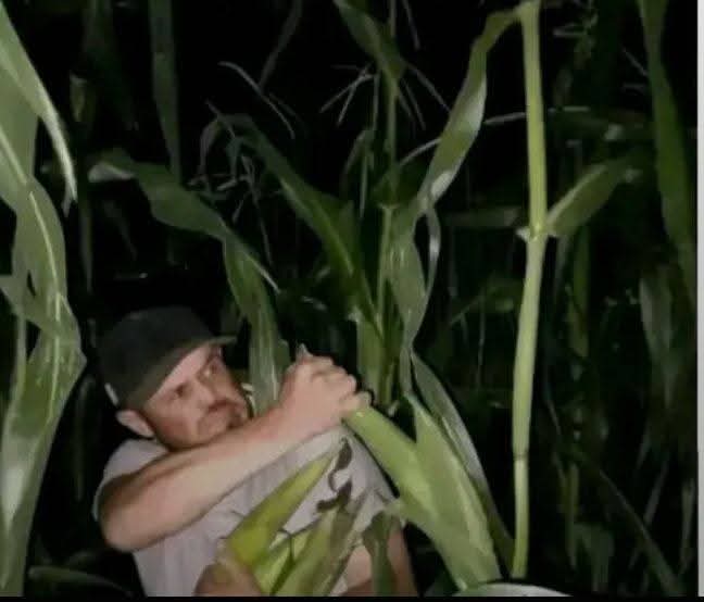 Pregnant wife: "I'm craving fresh corn"🌽

Me at 2 am in my neighbors yard: