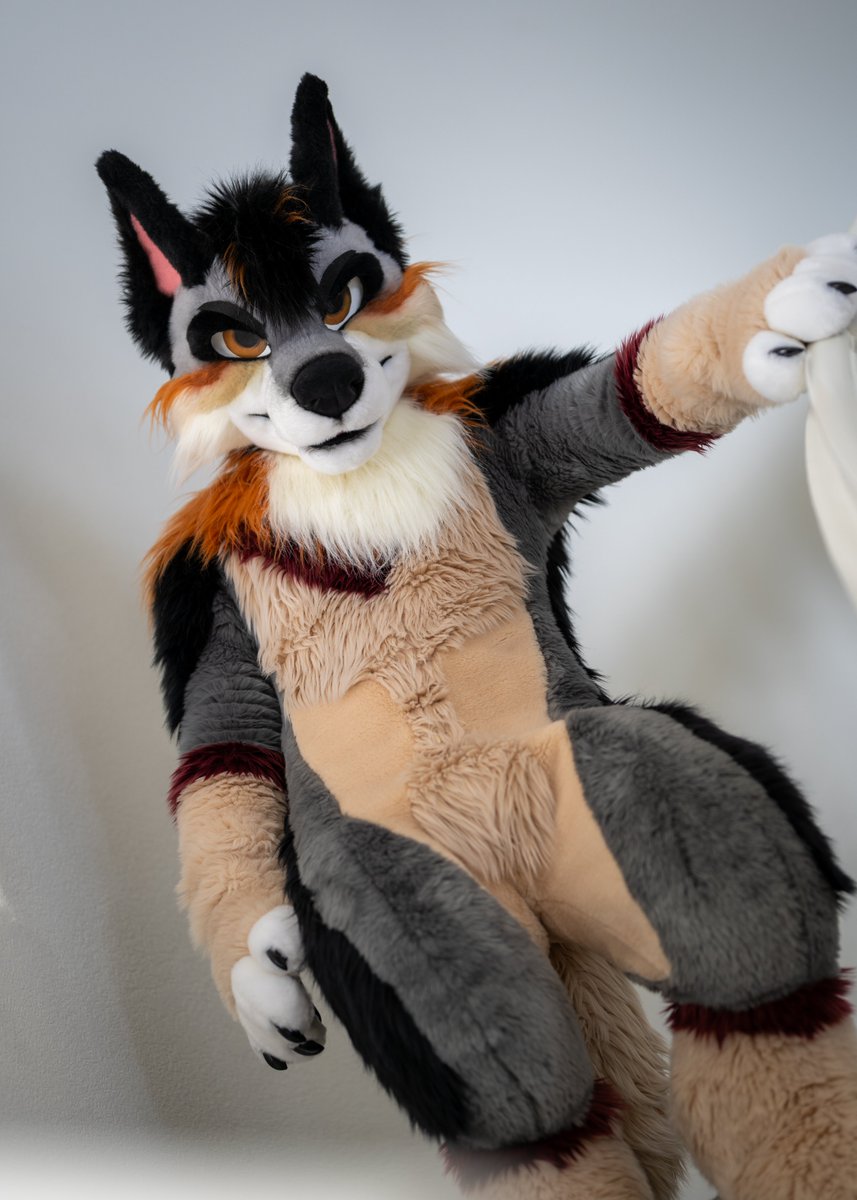 Harvest 🍁🍂 LVFC tweet media