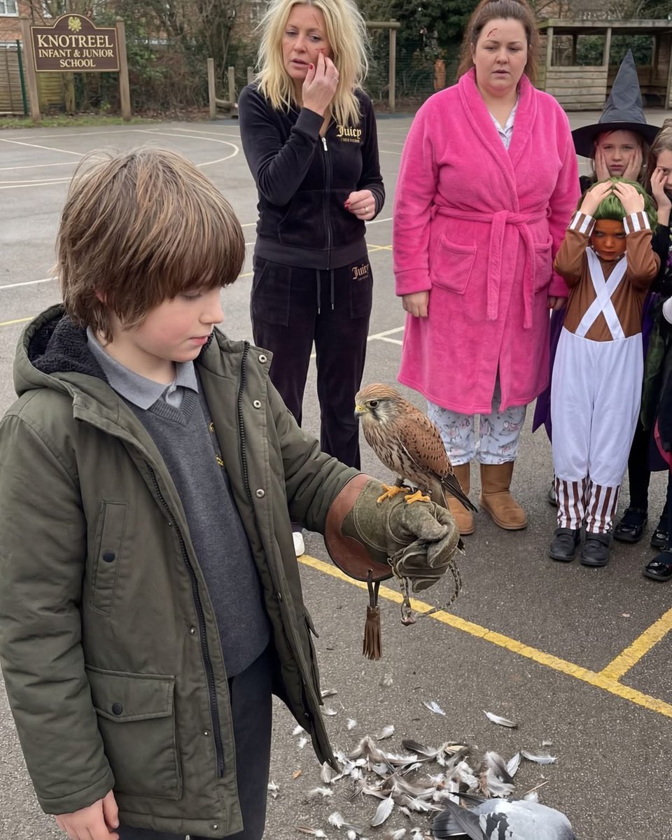 World book day ‘Kes’ theme didn’t go as planned.