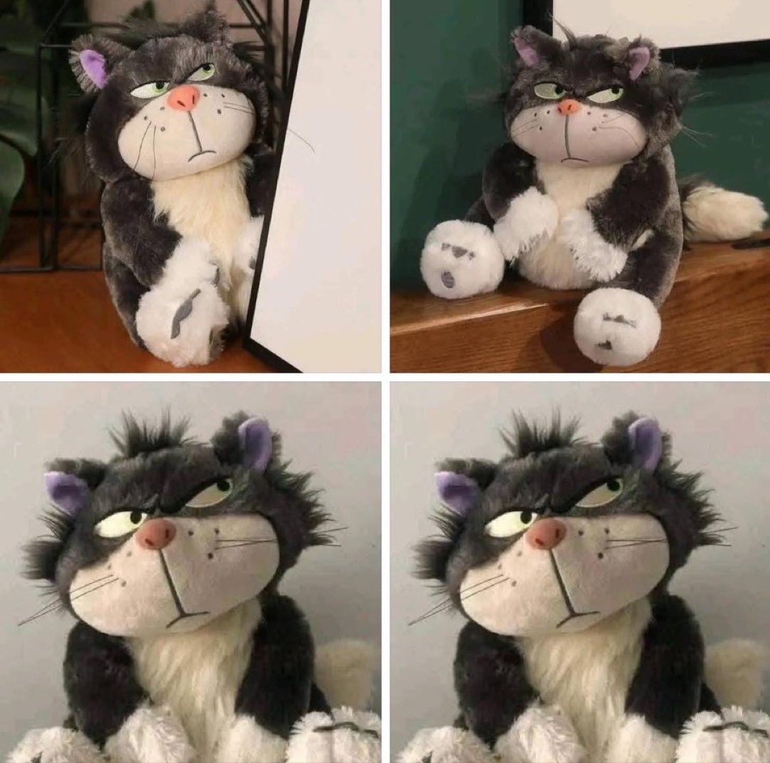 Guarromantico_'s tweet photo. “Te compré un peluche que se parece a ti”

El peluche: https://t.co/kDBp8Azjov