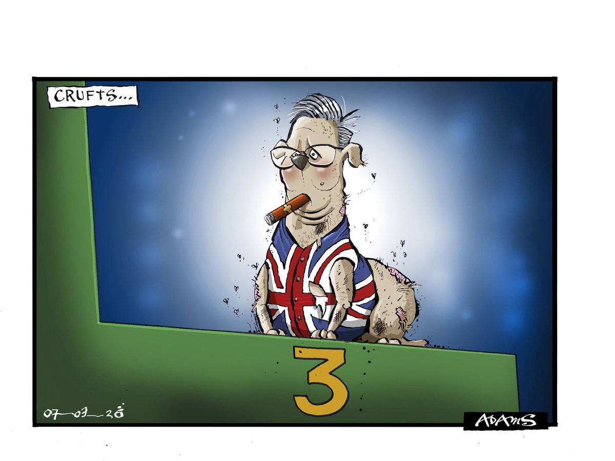 Christian Adams tweet media