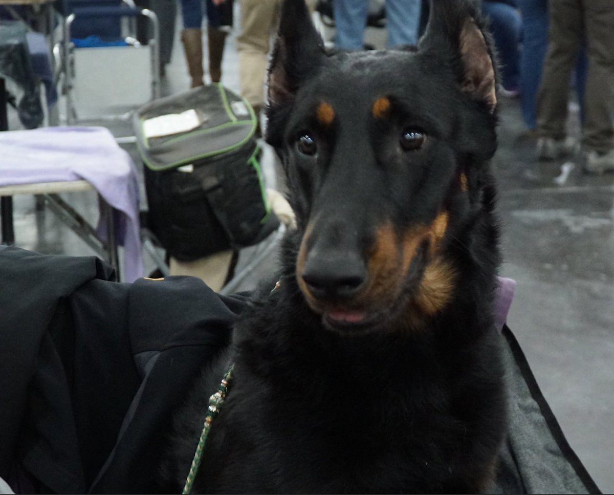 Kristal Hart tweet media