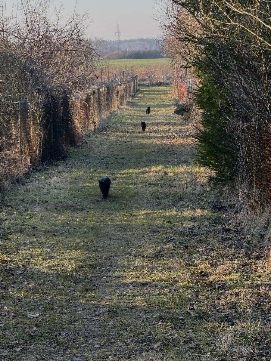 czuje ze jest zasadzka na mnie jakas