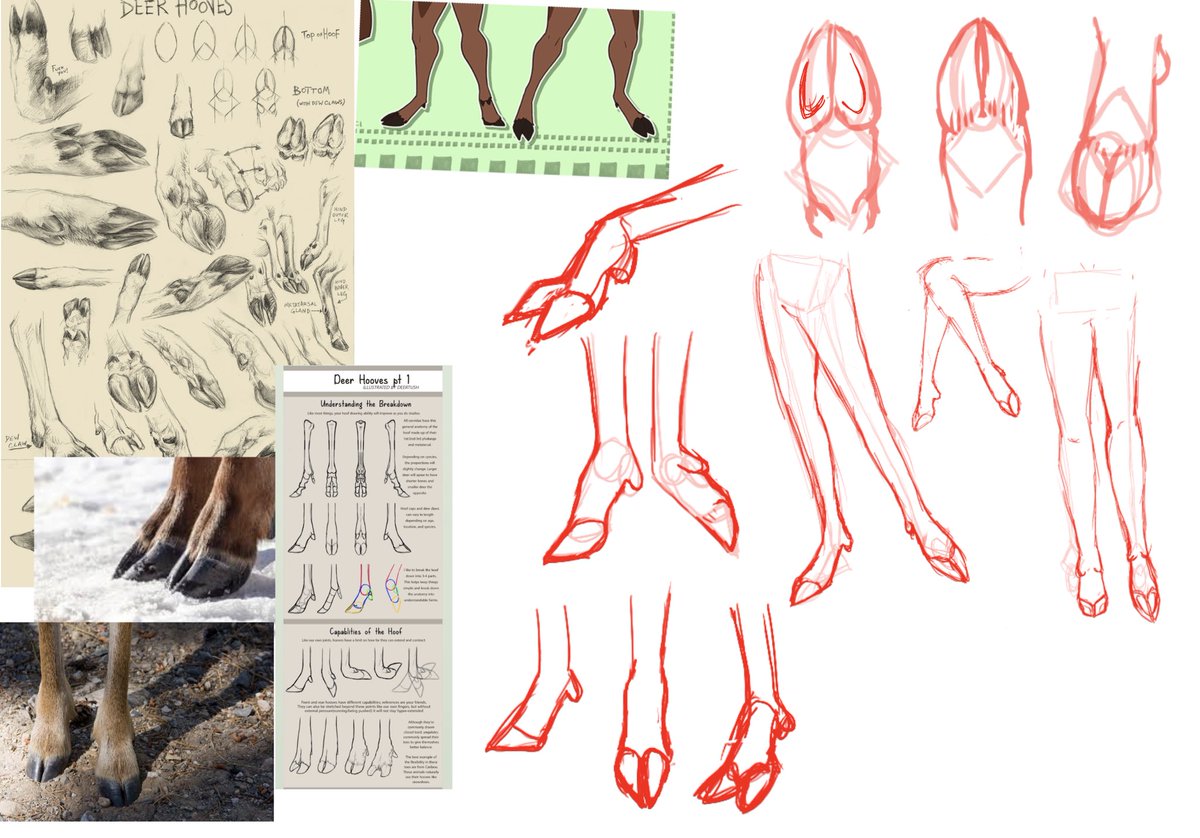 Desperately trying to figure out how deer hoofs work for definitely not nefarious reasons 👀

(Send help I have no idea what I'm doing)