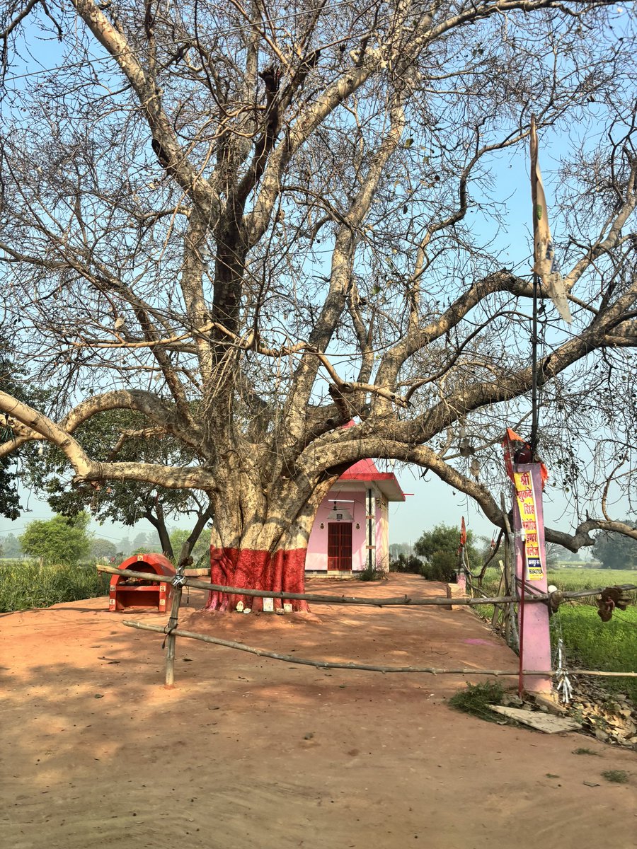 हर गाँव के किनारे एक मंदिर होता है 
जो उस गाँव की पहचान होता है