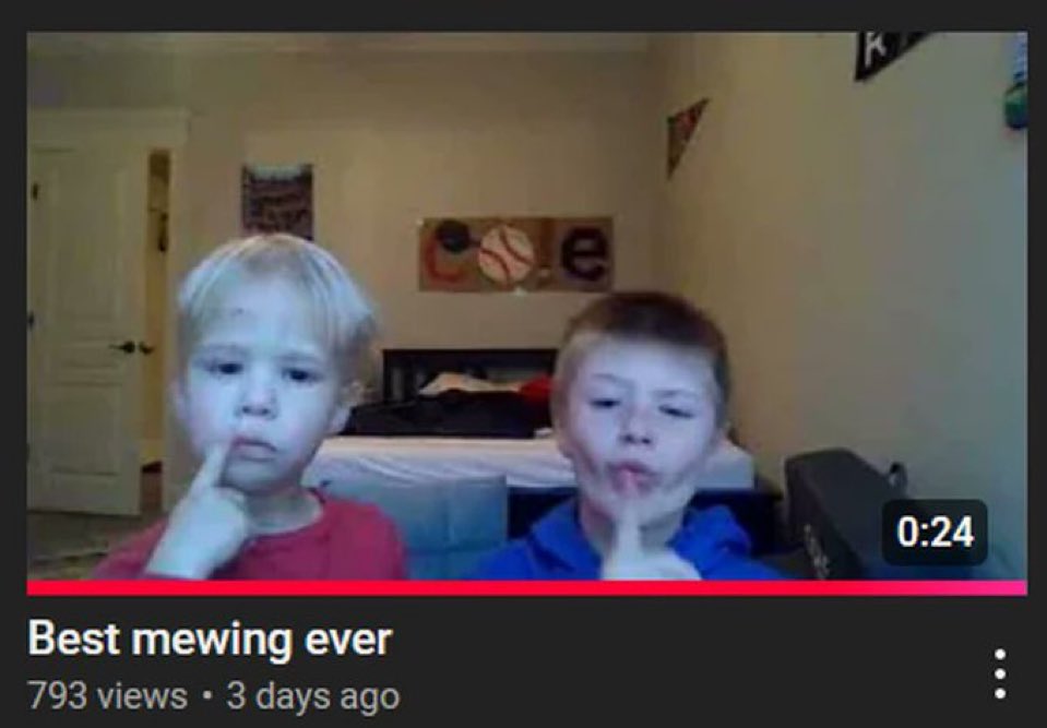 the meme archive tweet media