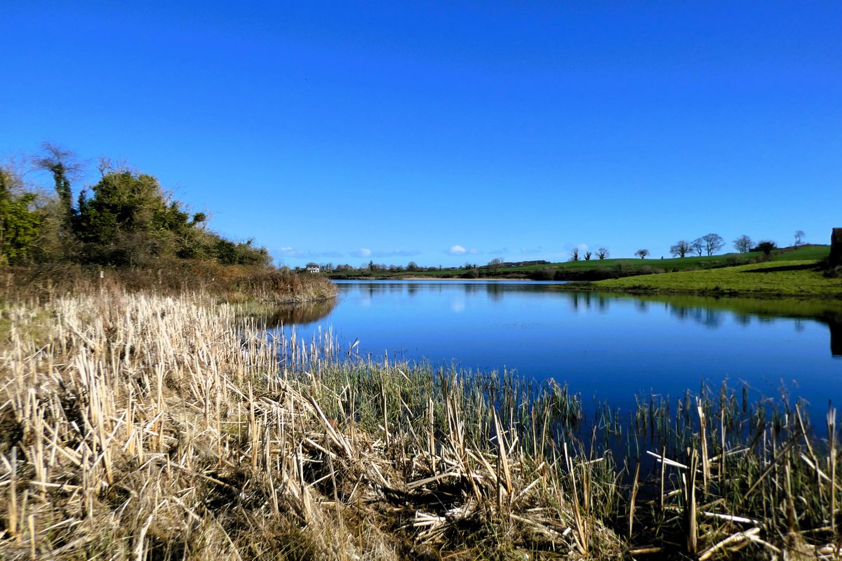 barracuda147's tweet photo. Looped walk in Lecale today starting at Lough Money #CountyDown and onward to Carrowvanny Rd and Carrownacaw Rd, passing Loughmoney Dolmen and the Long Stone before returning to the lough via Loughmoney Rd. Countryside looked swell, although very muddy on the pads. #Lecale #walks https://t.co/u2tWzsR1zz