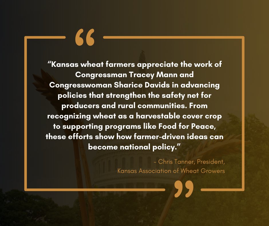 KansasWheat tweet media