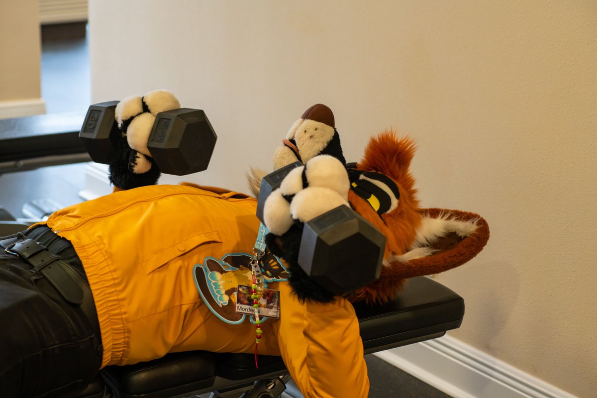 ESTRELLA POR ESTRELLA tweet media