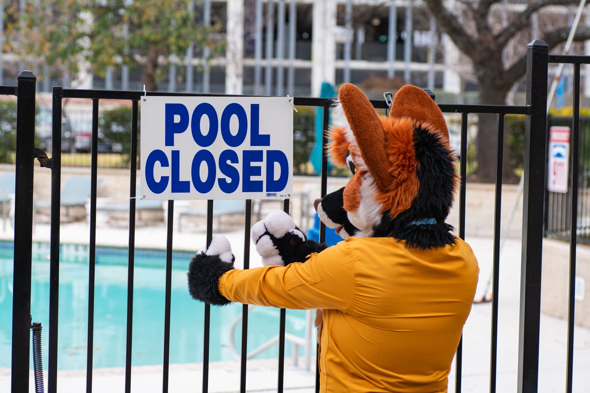 ESTRELLA POR ESTRELLA tweet media