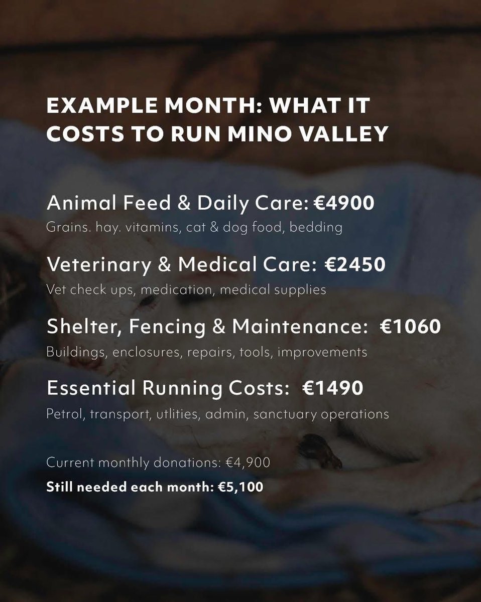 MinoValleySanctuary tweet media