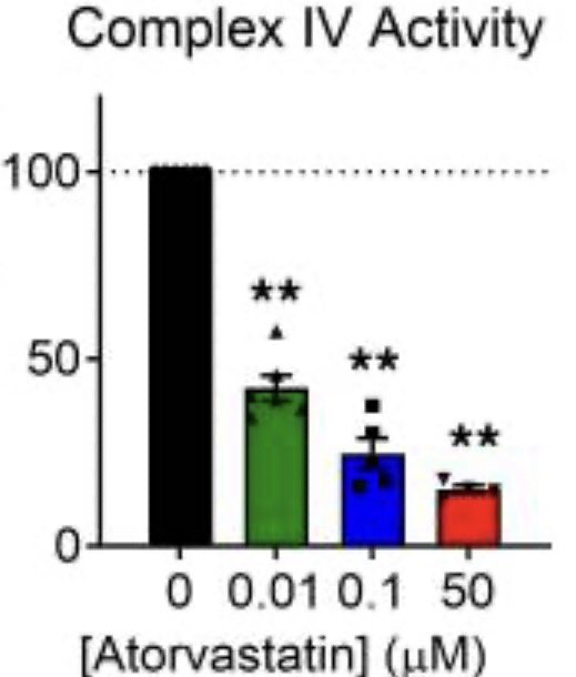 ☣️ Pleb Kruse = BTC foundationalist in exile 🟩🔆 tweet media