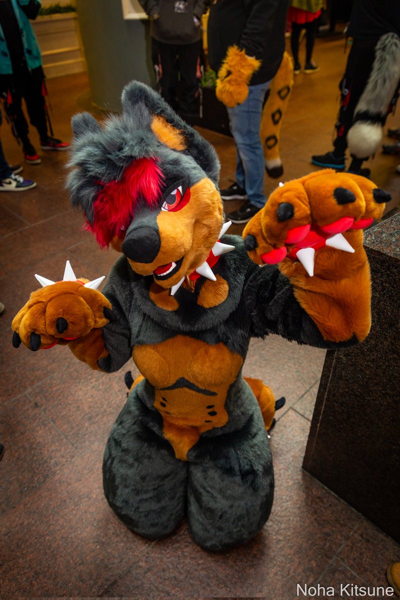 🖤Mutt🖤🔜CFZ tweet media