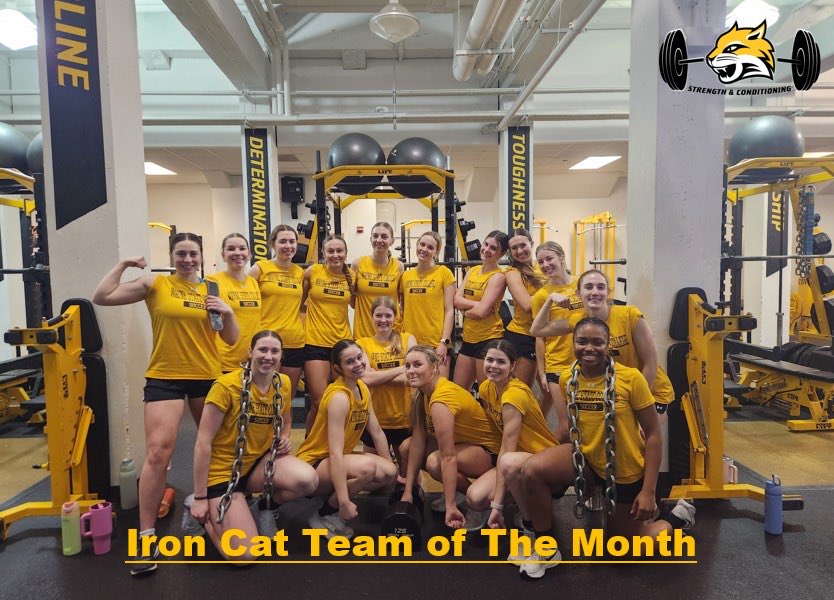 WSC Strength tweet media