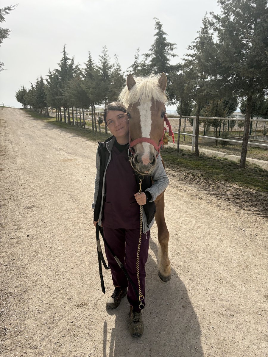 dedeoglu_zahide's tweet photo. Beni öpen o küçük tay (ARKADAŞ), büyüdü ve deneme aygırı oldu. Artık hep birlikteyiz. 🐴💜👩🏻‍⚕️ https://t.co/vNfScAwonT