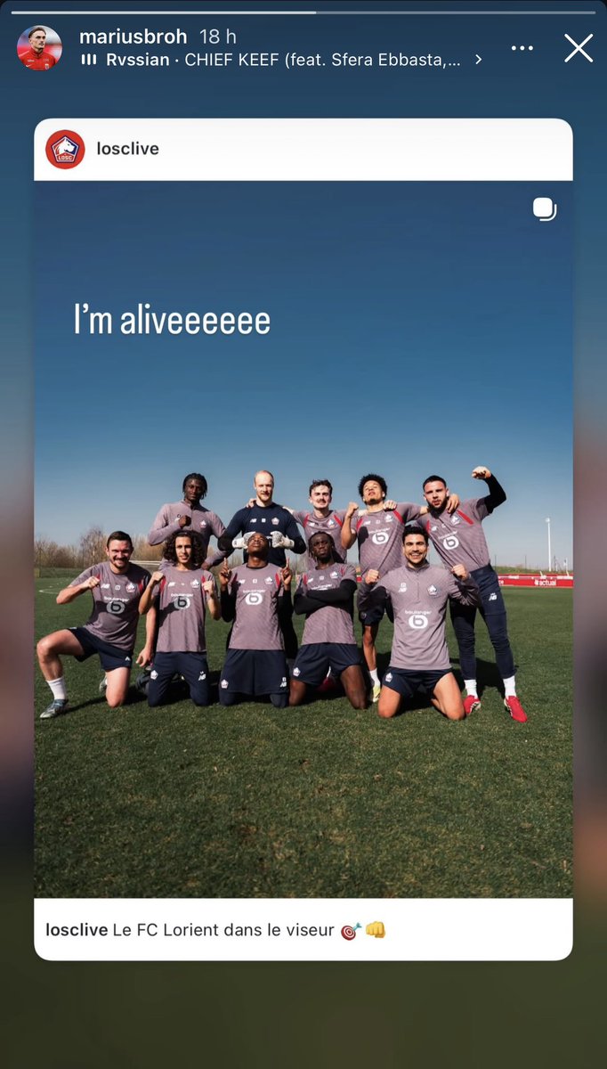 Losc Fans Club tweet media