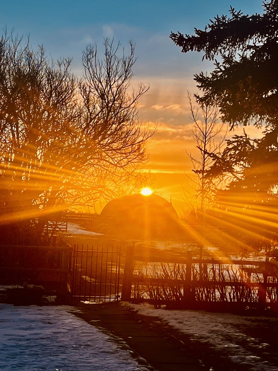 Rob laird tweet media