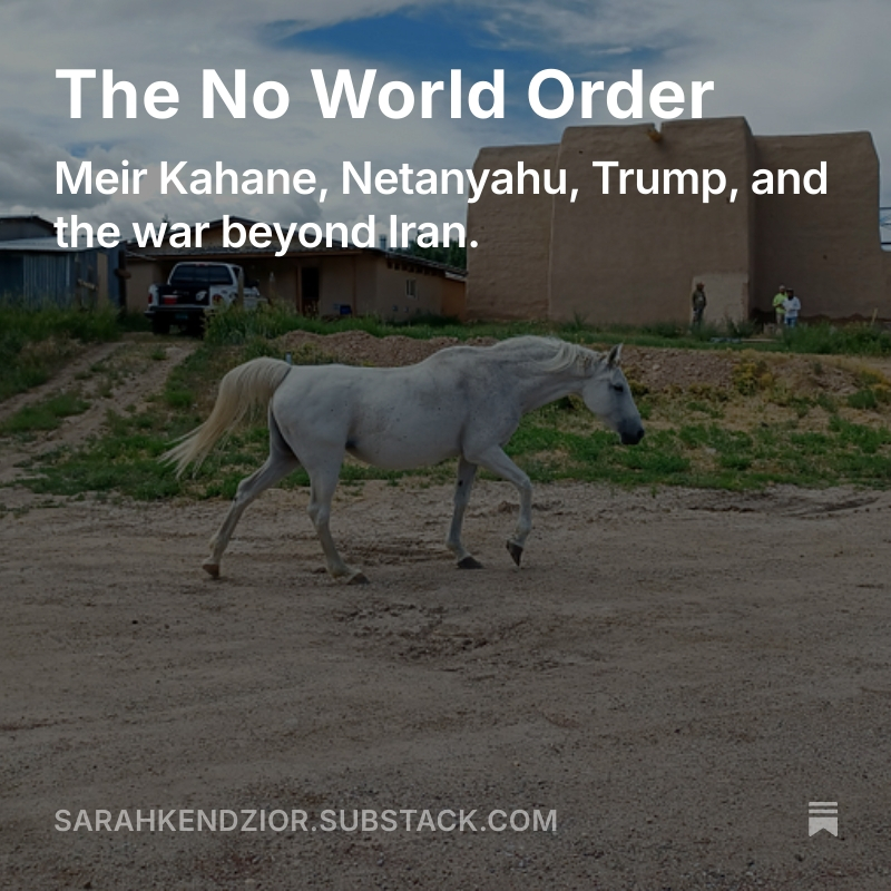 Sarah Kendzior tweet media