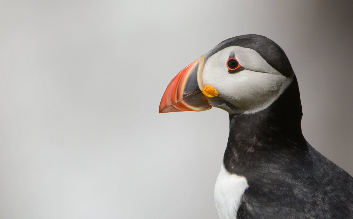 Oonagh Duggan tweet media