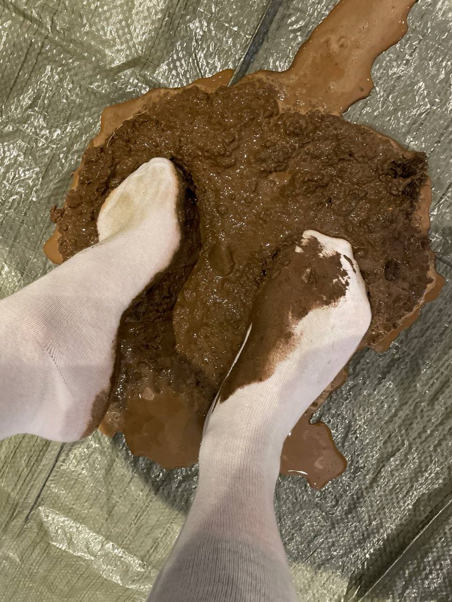 Pferdemädchen tweet media