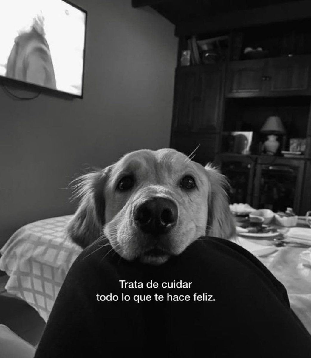 Acción Literaria. (@literariaaccion) on Twitter photo 