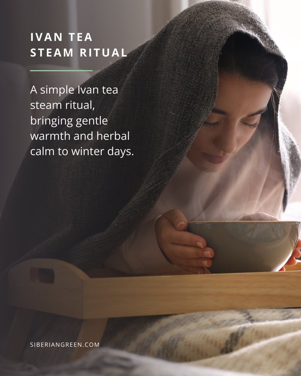 Some beauty rituals are about pause. 🌿 

In colder months, a simple herbal steam with Fermented Ivan Tea offers warmth and calm. 

Brew it strong, pour into a bowl, lean over the steam, and breathe slowly. 

No rush, just a quiet moment. ✨