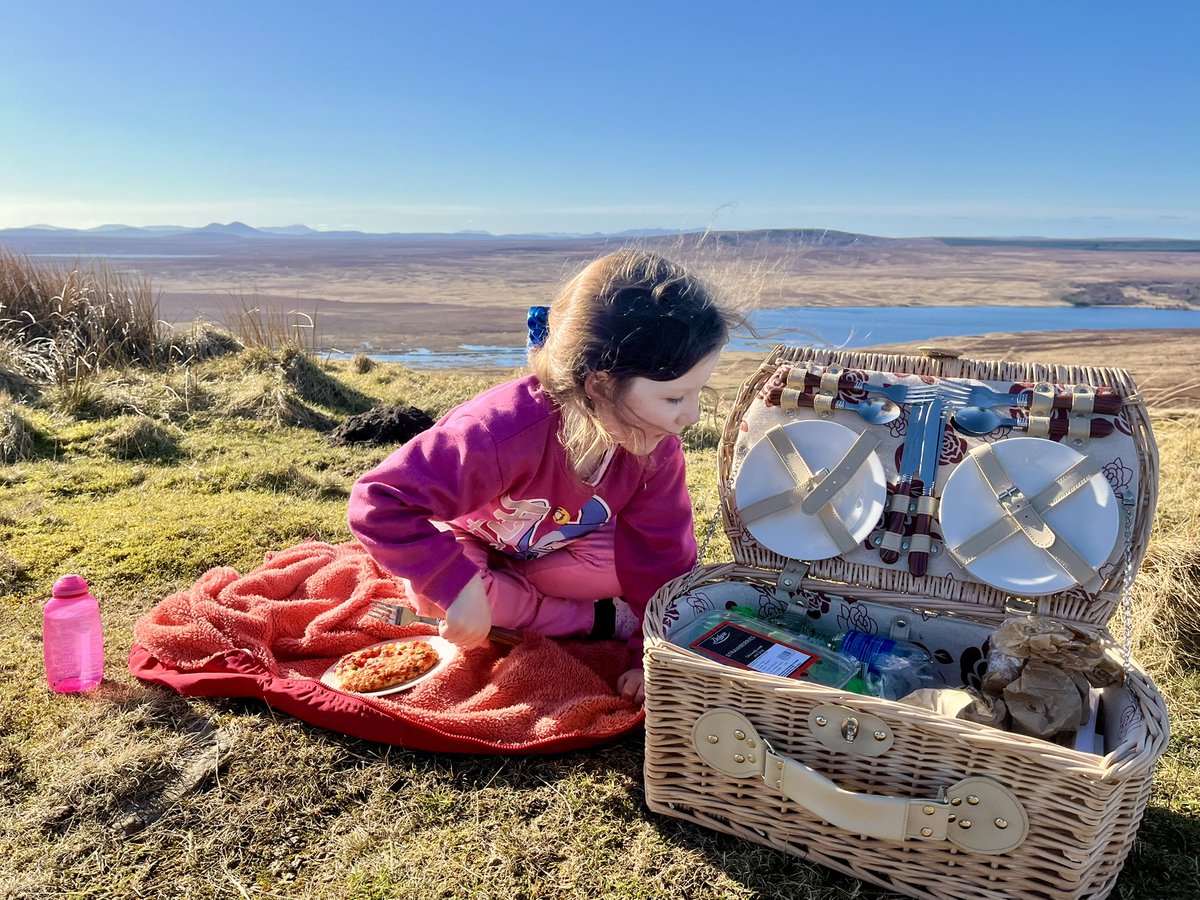 Magnus Davidson tweet media