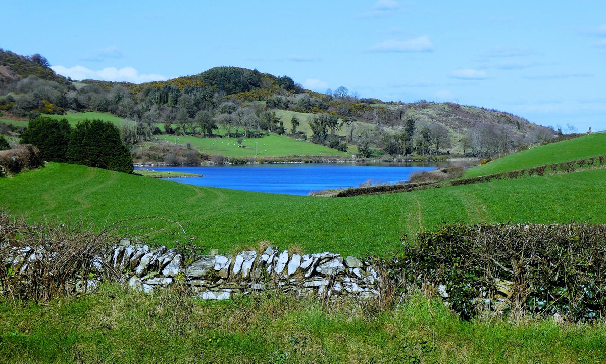 barracuda147's tweet photo. Looped walk in Lecale today starting at Lough Money #CountyDown and onward to Carrowvanny Rd and Carrownacaw Rd, passing Loughmoney Dolmen and the Long Stone before returning to the lough via Loughmoney Rd. Countryside looked swell, although very muddy on the pads. #Lecale #walks https://t.co/u2tWzsR1zz