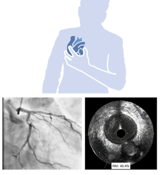 Max Lugavere tweet media