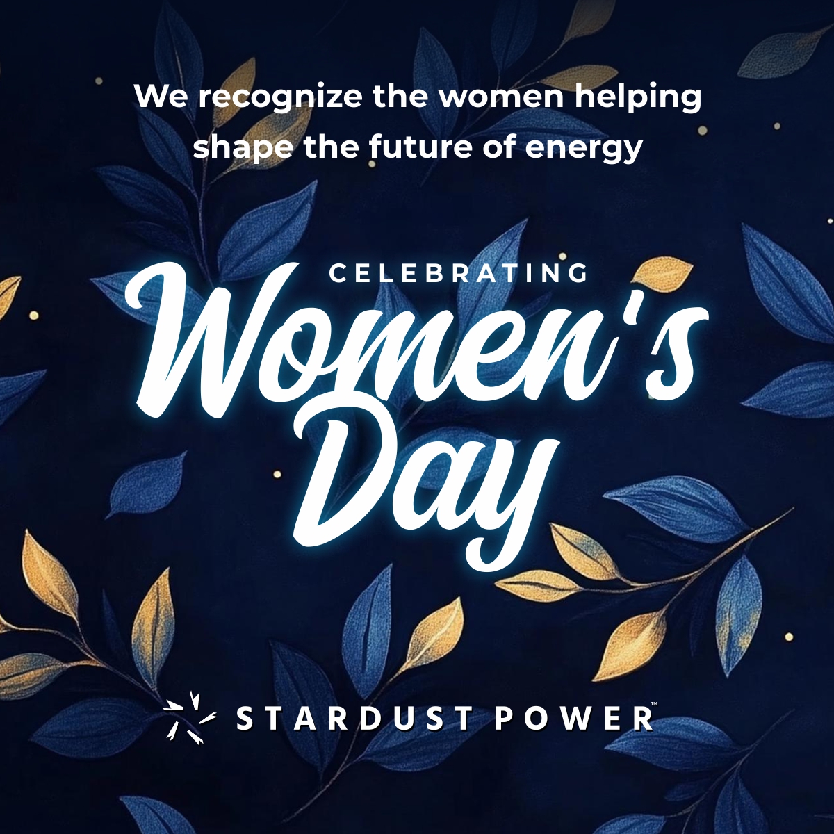 Stardust Power (NASDAQ: SDST) tweet media