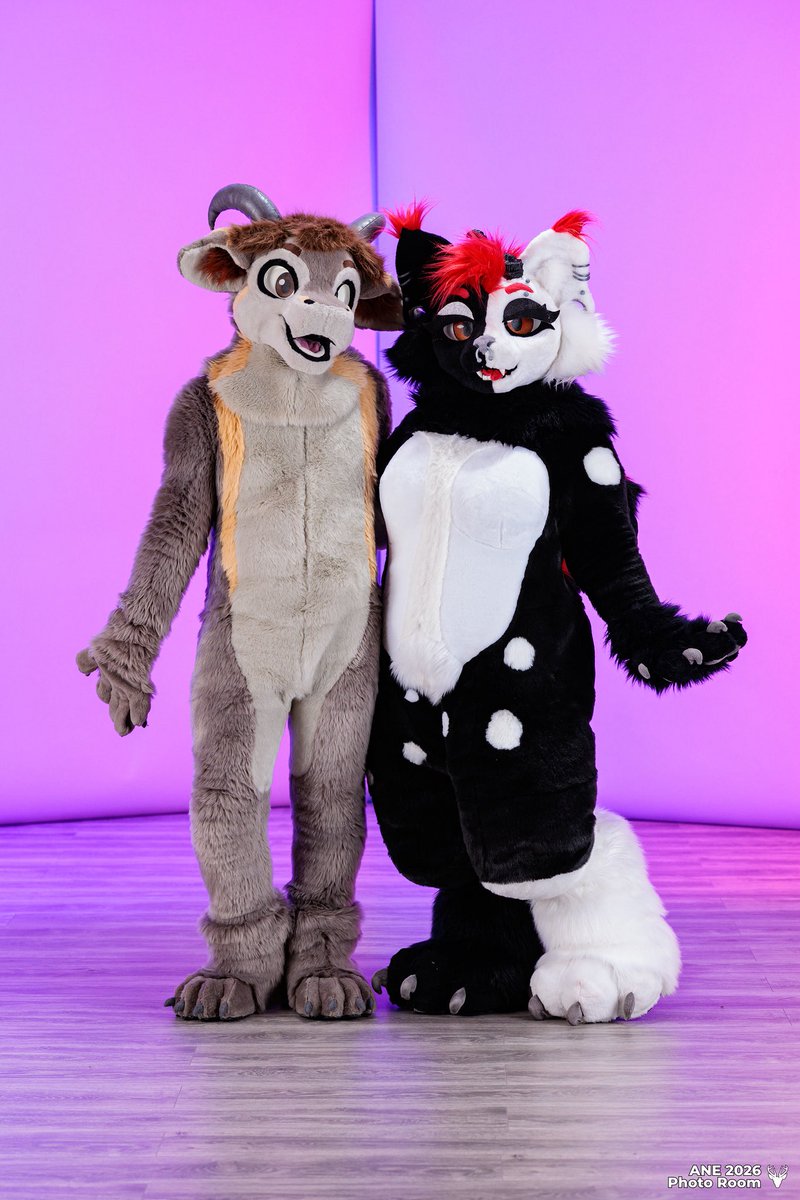 Torgore 🐐 tweet media