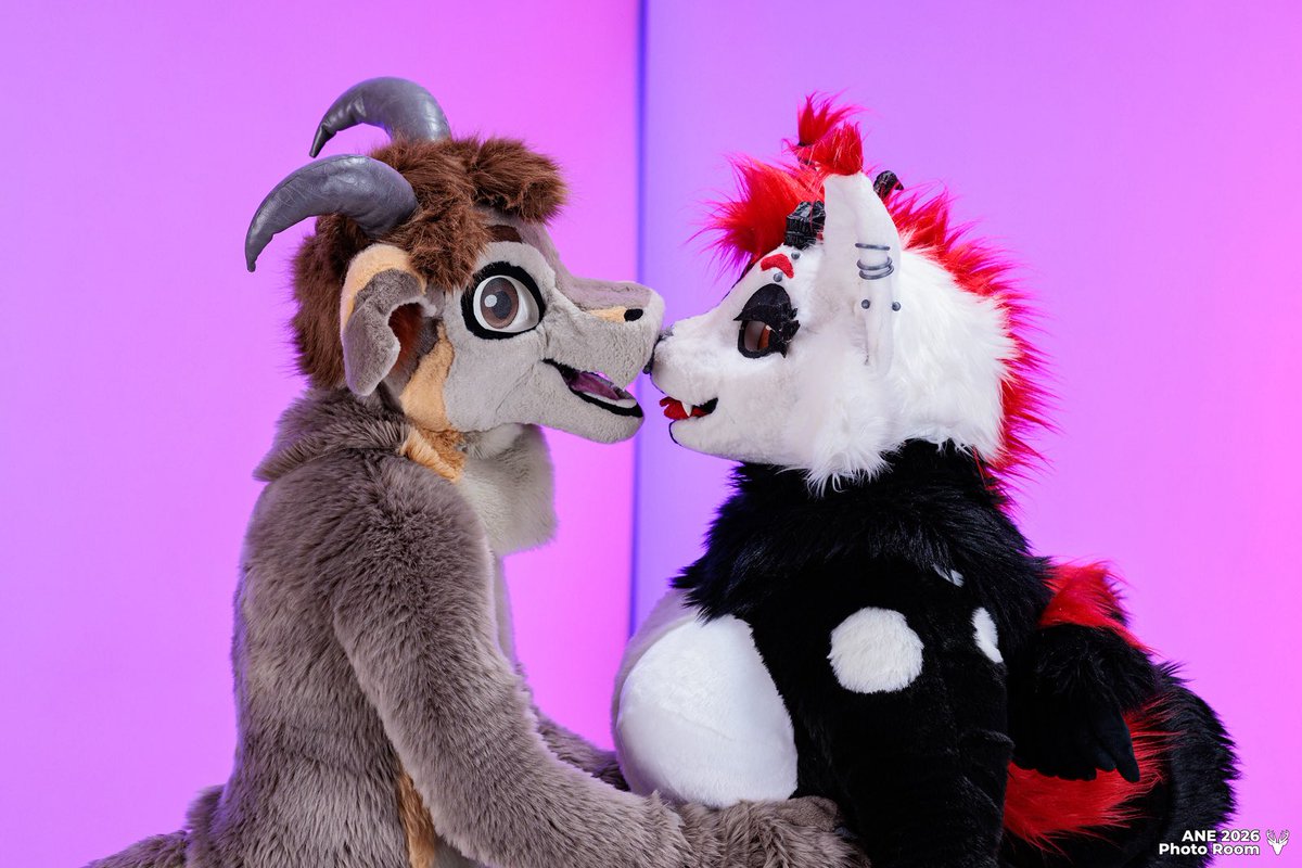 Torgore 🐐 tweet media