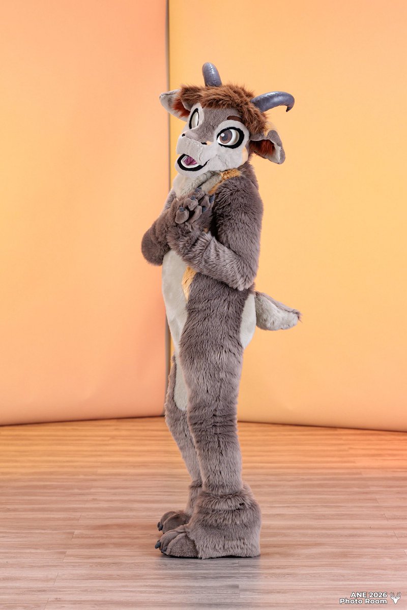 Torgore 🐐 tweet media