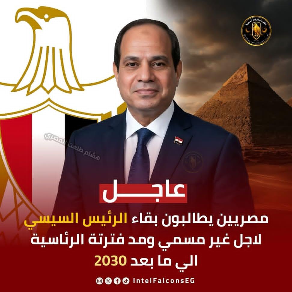 Azza Ezzat tweet media