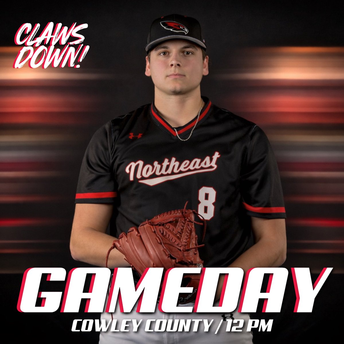 Northeast Baseball tweet media