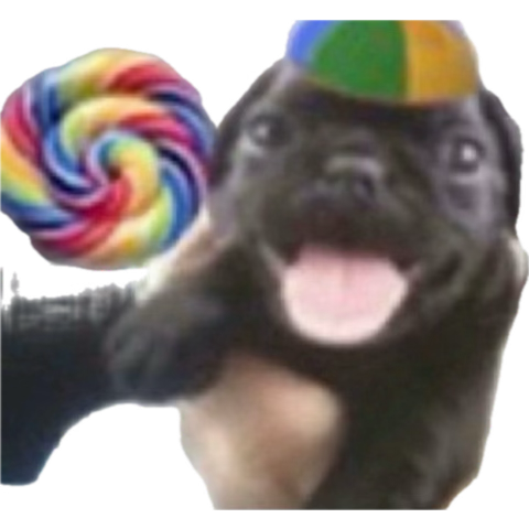 Dom’s Dolla tweet media