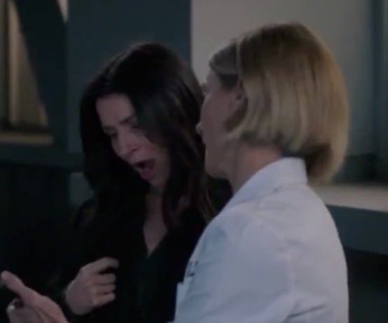 kaibartleyscat's tweet image. currently imagining amelia and toni going on a park date so their kids can play on the playground together. #ameloni