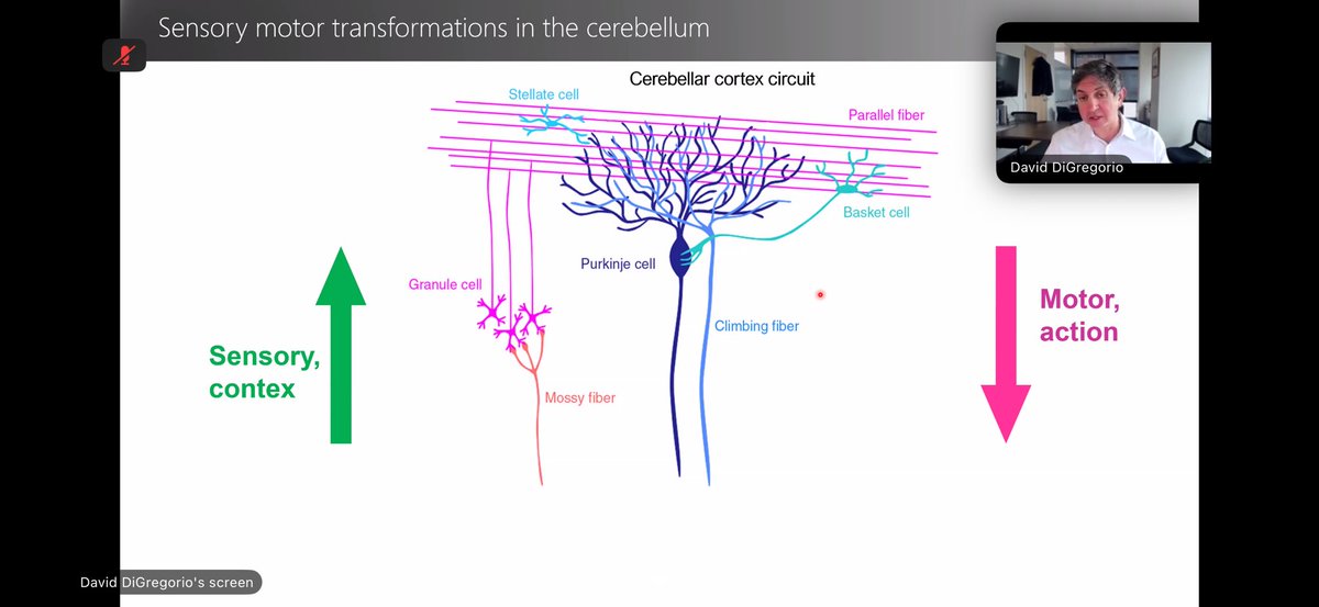 Brad Caldwell tweet media