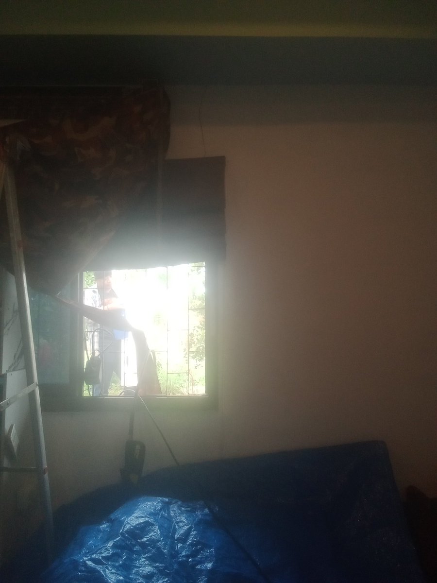 pat Sweet tweet media