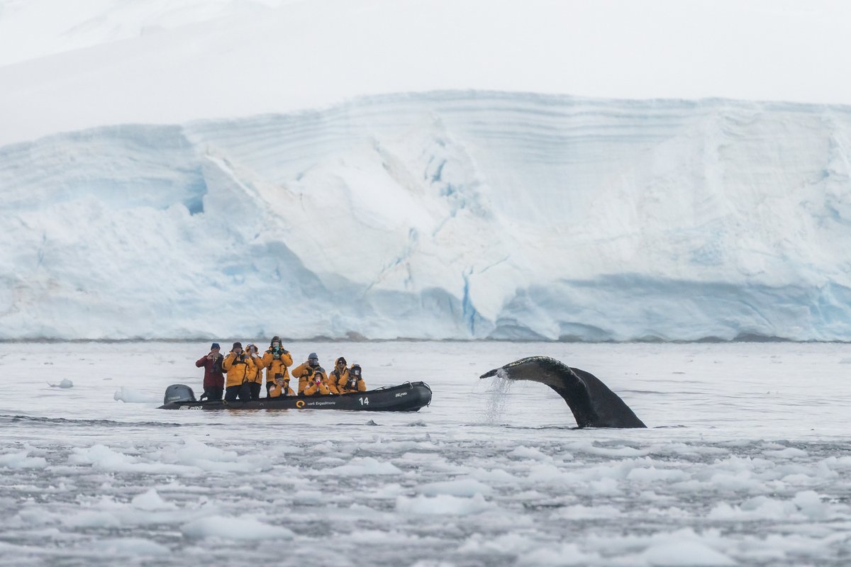 Quark Expeditions tweet media